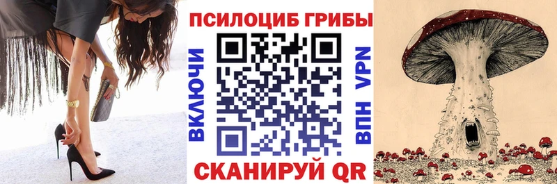 купить наркоту  Кизилюрт  мега ССЫЛКА  Галлюциногенные грибы Psilocybe 